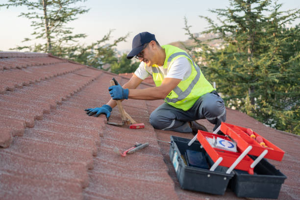 Best Storm Damage Roof Repair  in Northview, MI