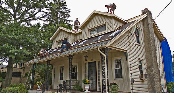 Quick and Trustworthy Emergency Roof Repair Services in Northview, MI